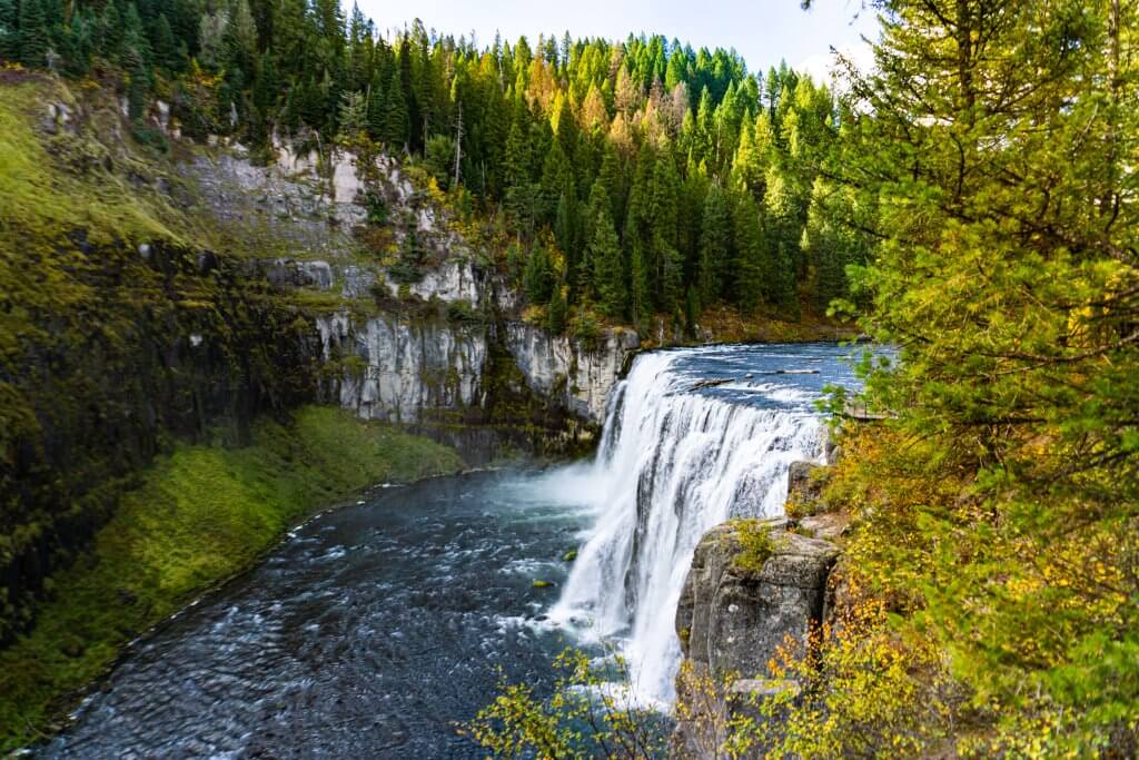 wide shot of mesa falls waterfall surrounded by greenery