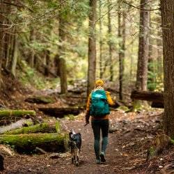 A woman in yellow raincoat is walking her dog along the Pulaski Trail, near Wallace, Idaho.