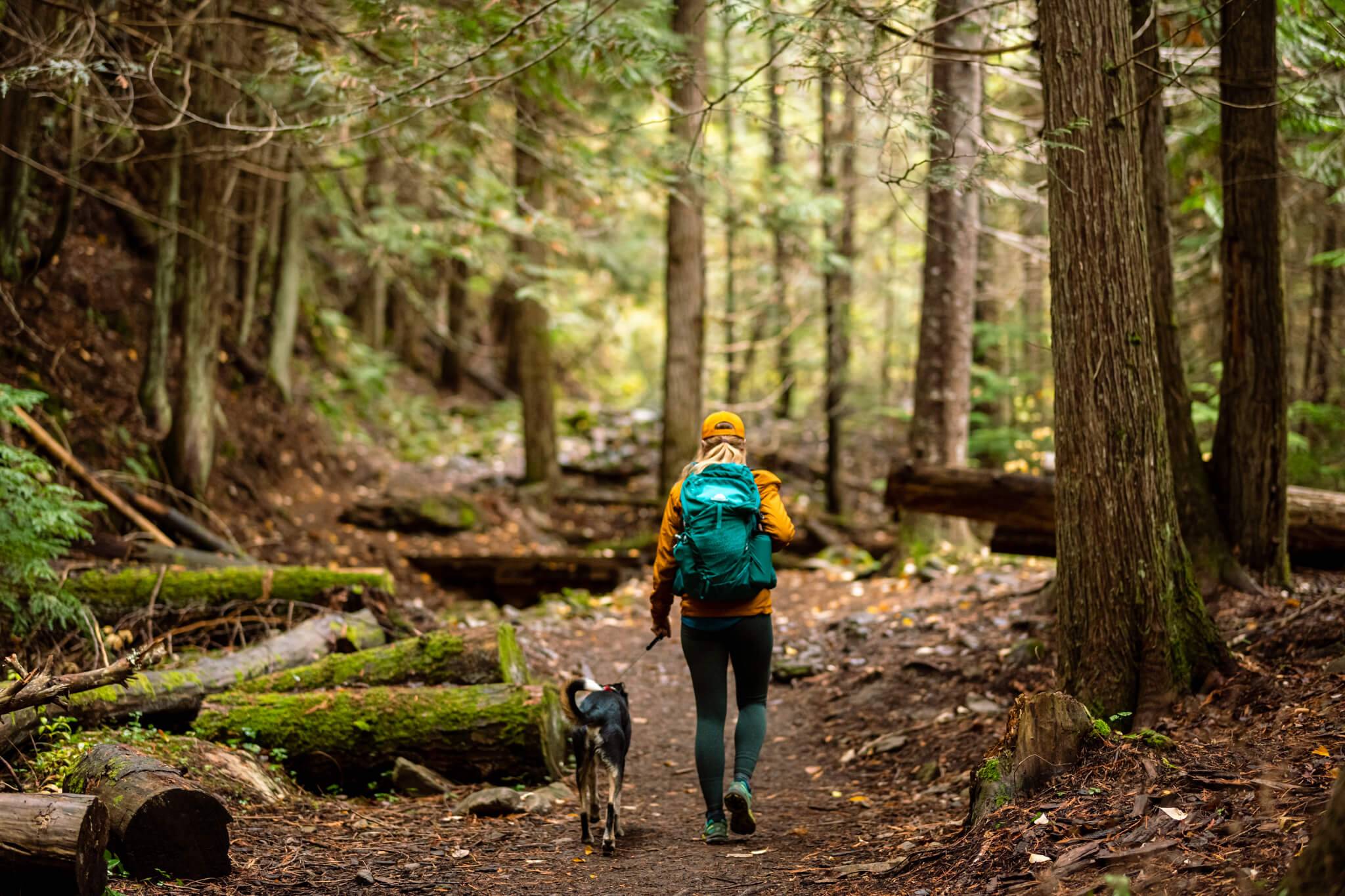 A woman in yellow raincoat is walking her dog along the Pulaski Trail, near Wallace, Idaho.