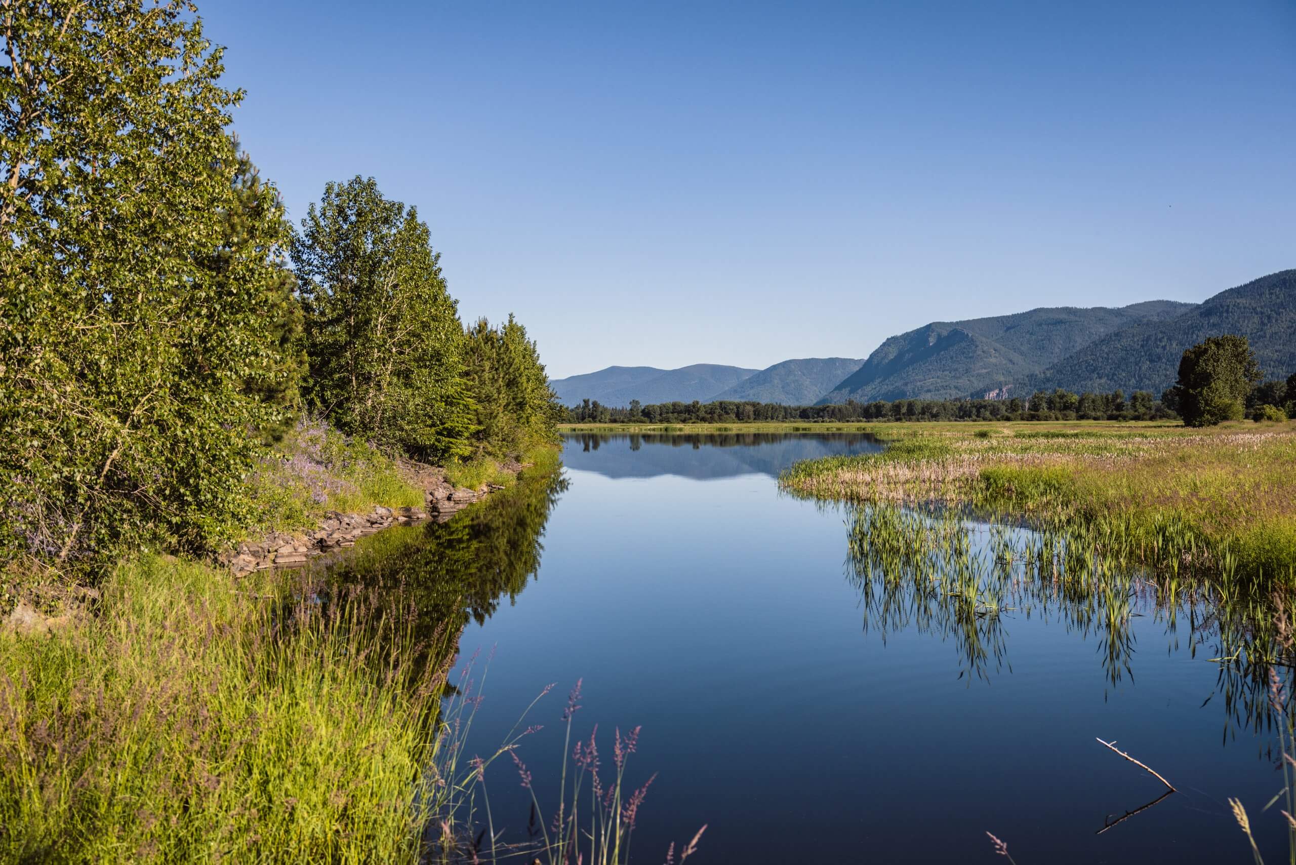 River flowing through Pend Oreille Wildlife Management Area.