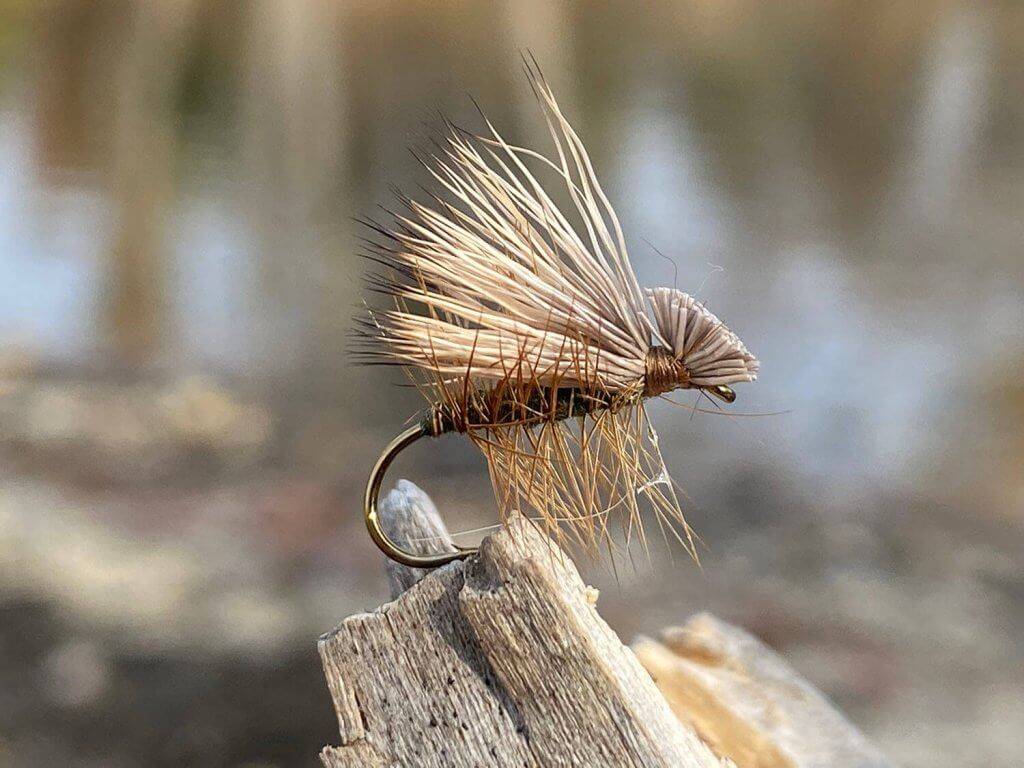 An Elk Hair Caddis fly resting on a rock.