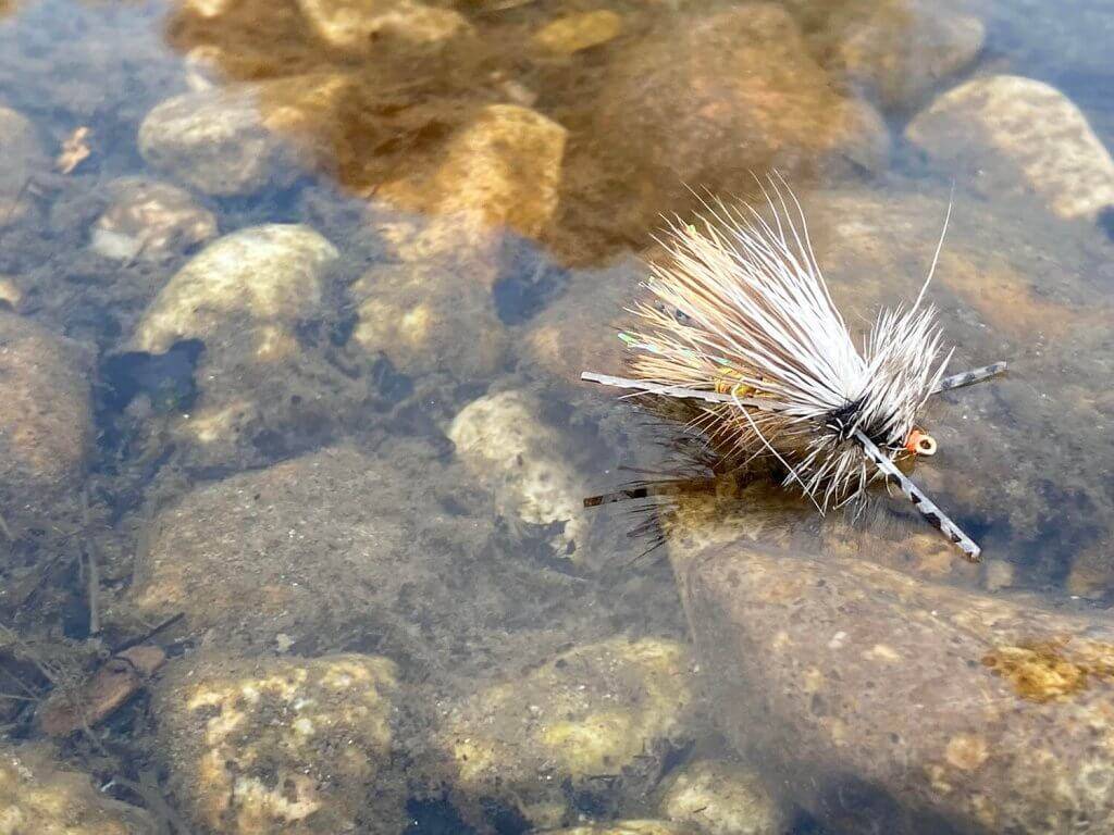 A Stimulator dry fly in a riverbed.