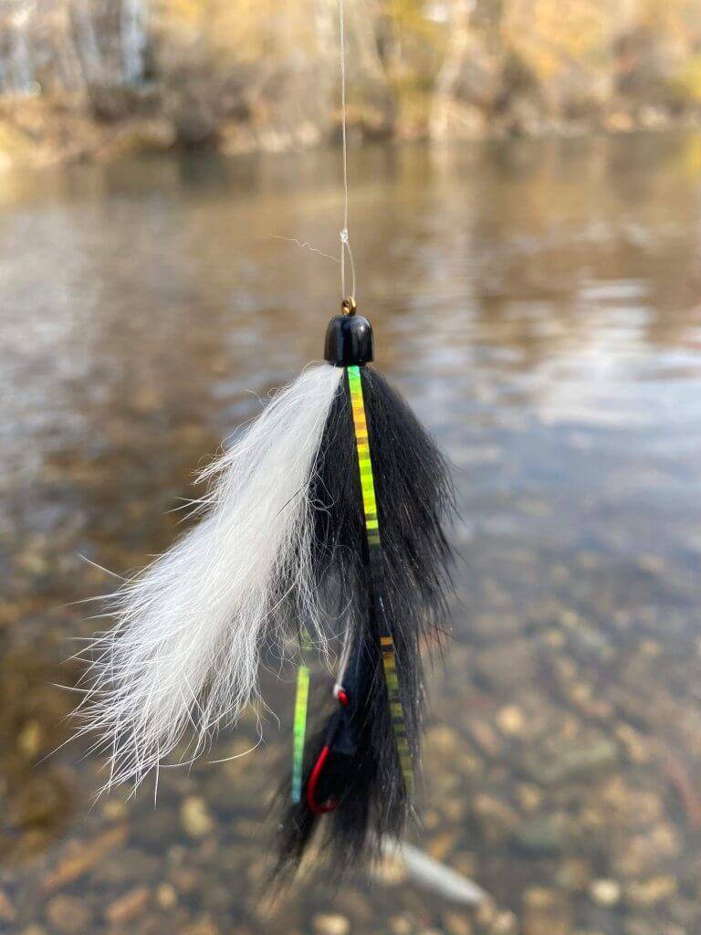 A Dolly Llama fly hanging above water