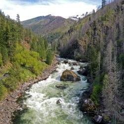 The rushing Selway River surrounded by tree-covered mountains.