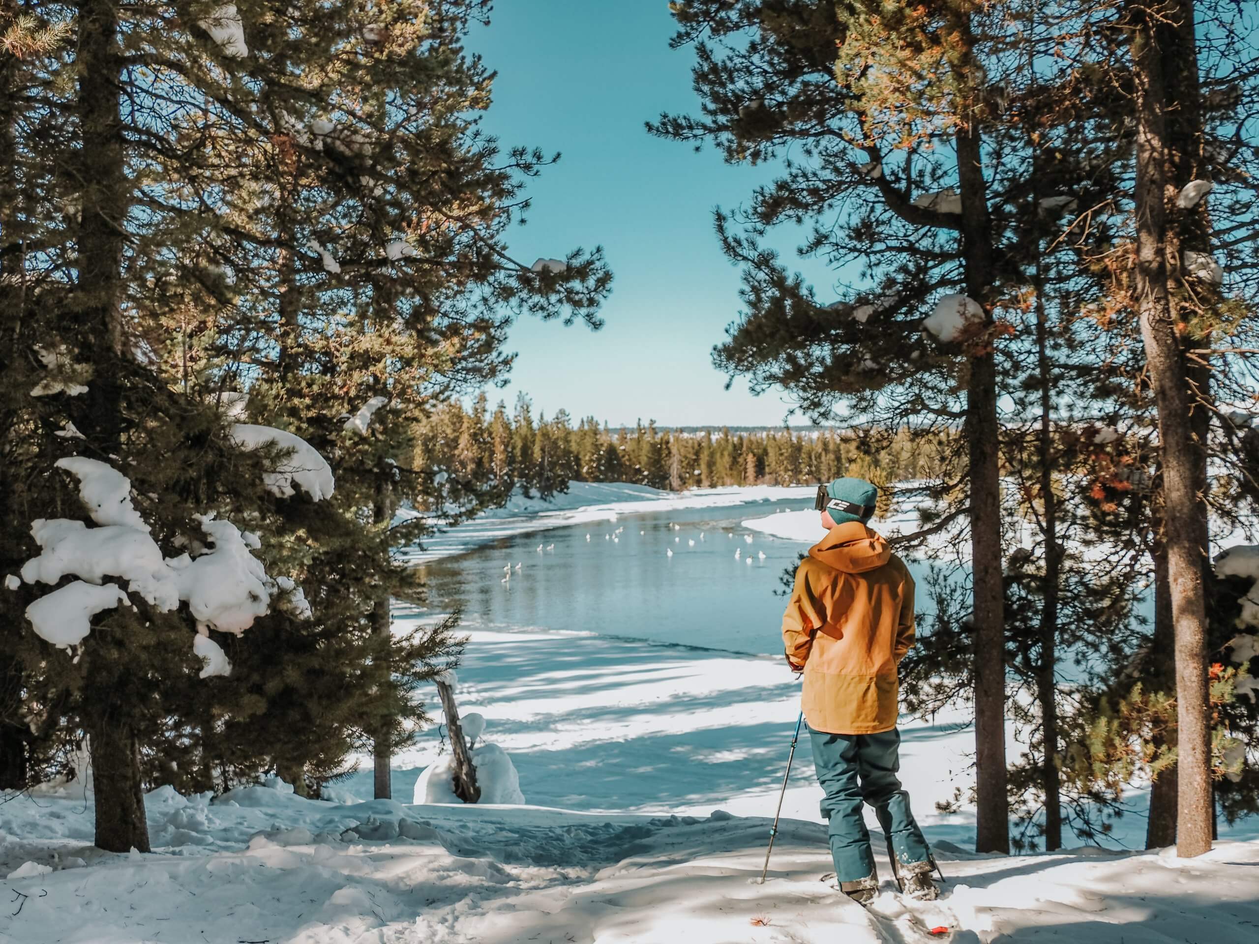 A person on snowshoes standing in front of water at Harriman State Park.