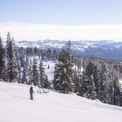 A person stopped on ski run looking out over snowy valley filled with trees at Brundage Mountain Resort.