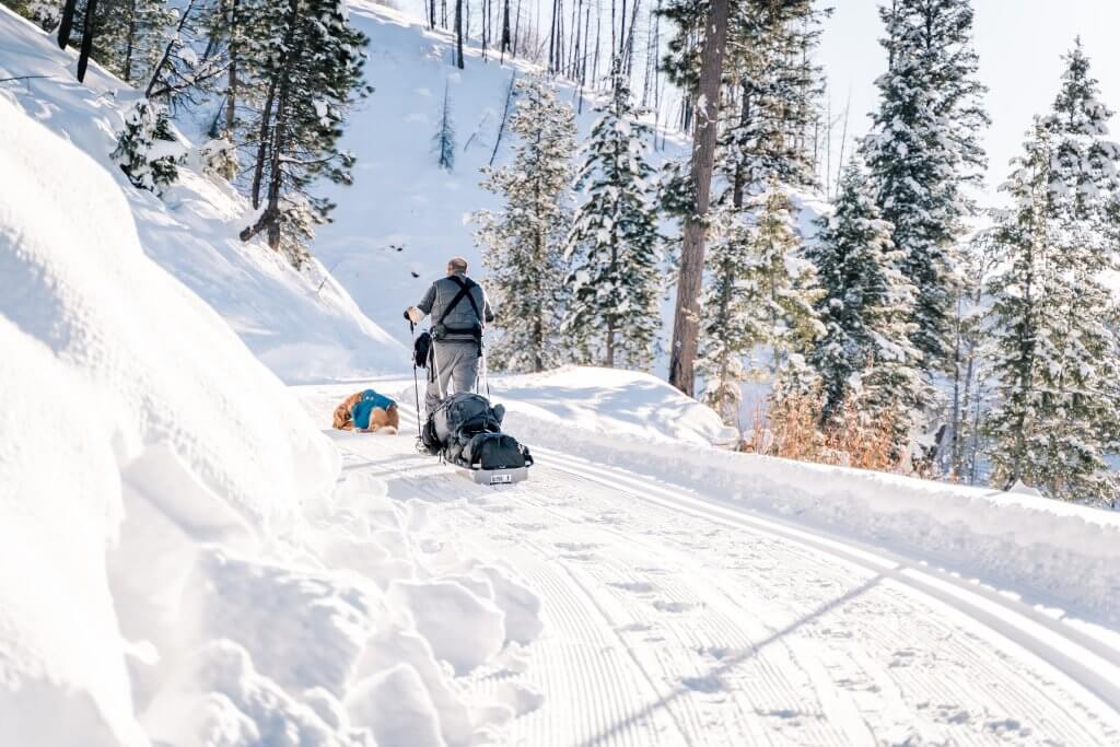 man snowshoeing on snowy trail pulling a ski pulk  with a dog sitting in front of where he is snowshoeing