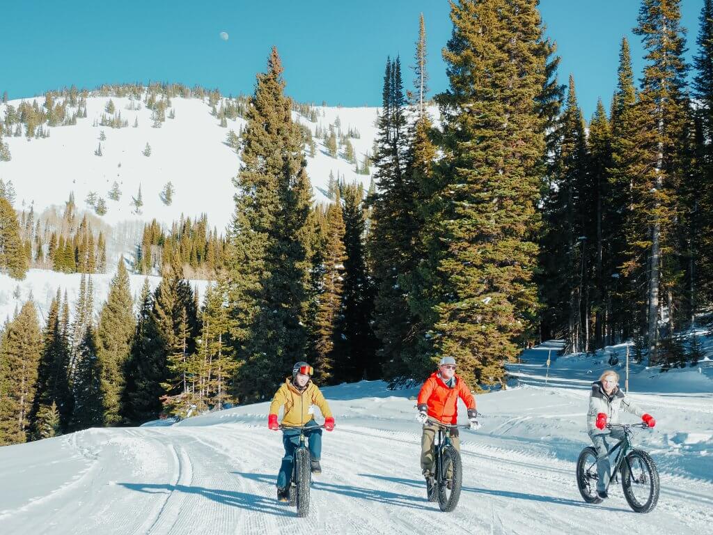 three people riding fat tire bikes on packed snow path with tall pine trees on either side