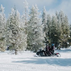 A group of people snowmobiling through the Caribou-Targhee National Forest past snow-covered trees.