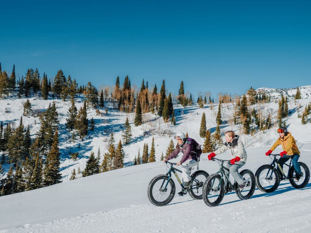 three people riding fat tire bikes down a slightly sloped packed trail with snowy hill in the background with pine trees scattered on the hill