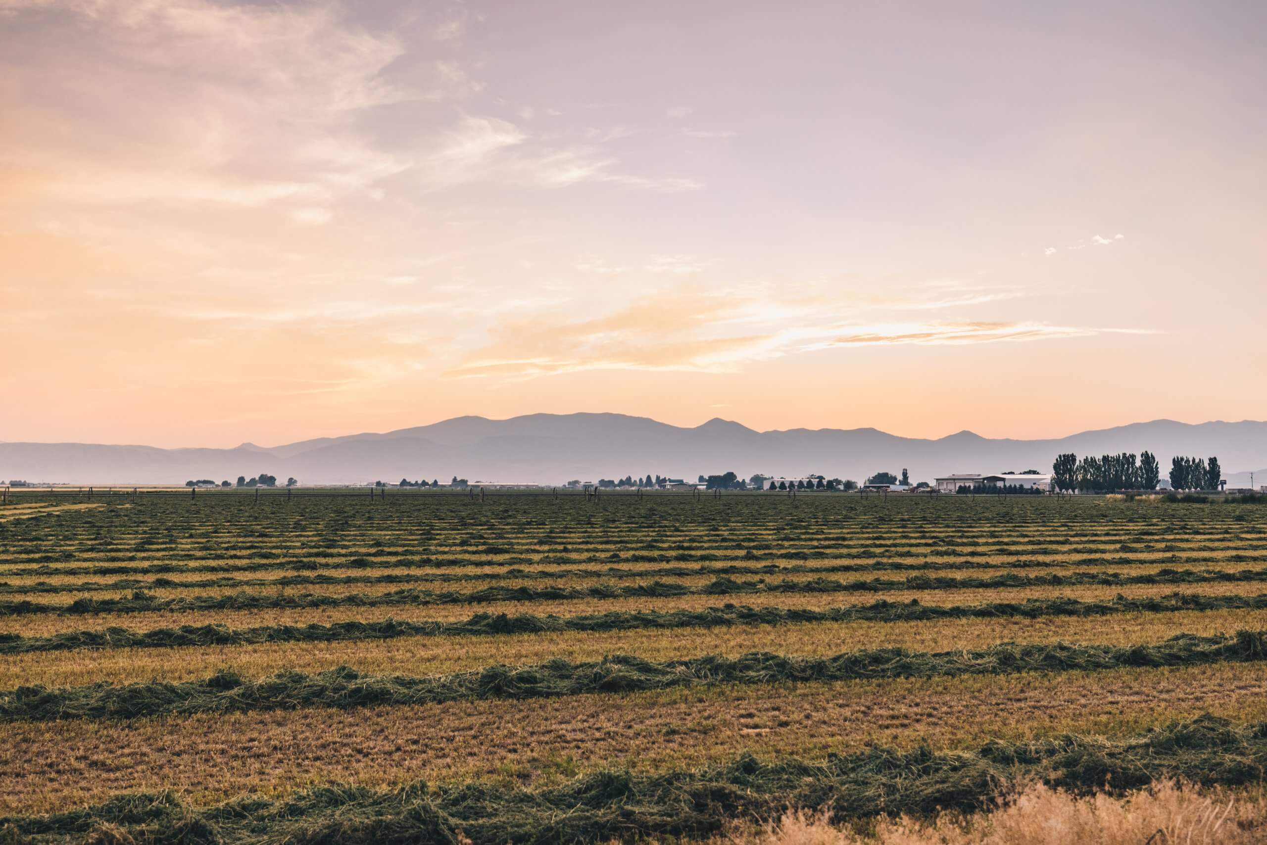 Open farmland with trees and mountains in the distance.