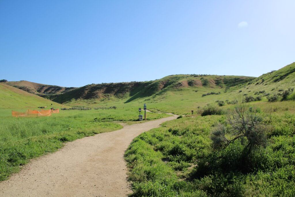 A packed dirt trail curves as it heads into the lush green Boise foothills.