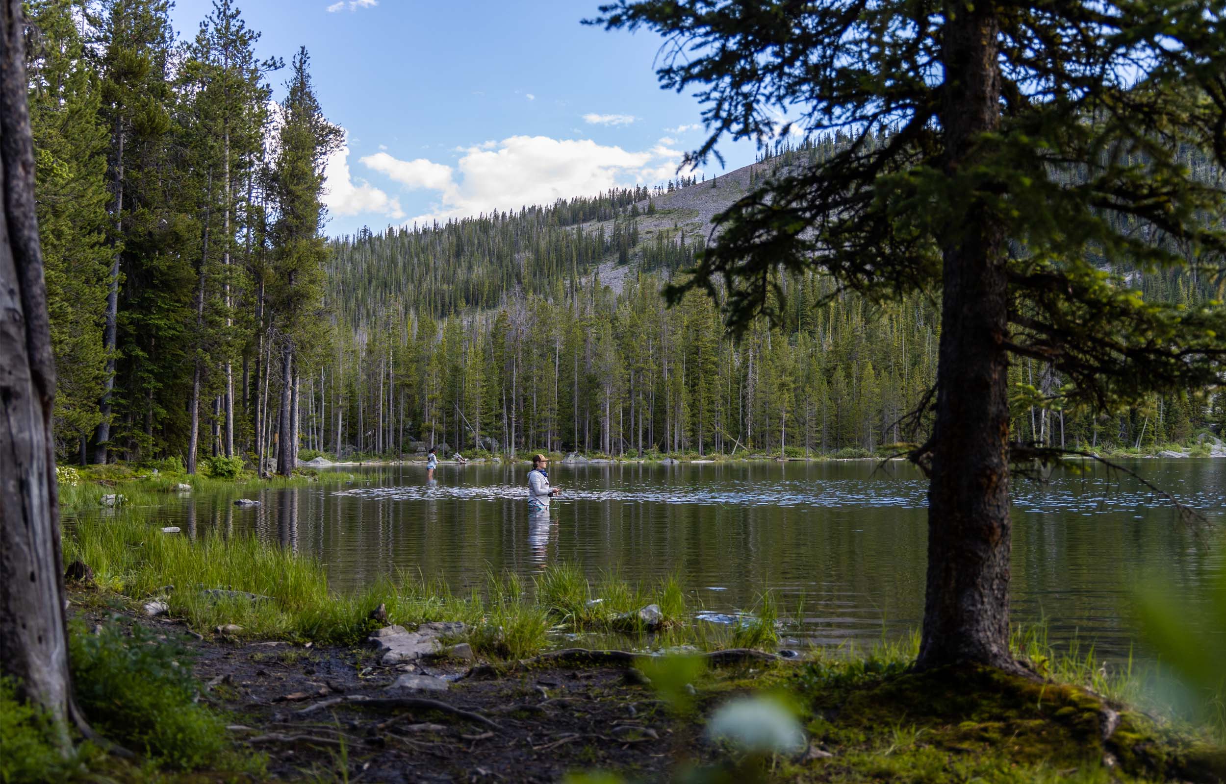 Summer in Idaho