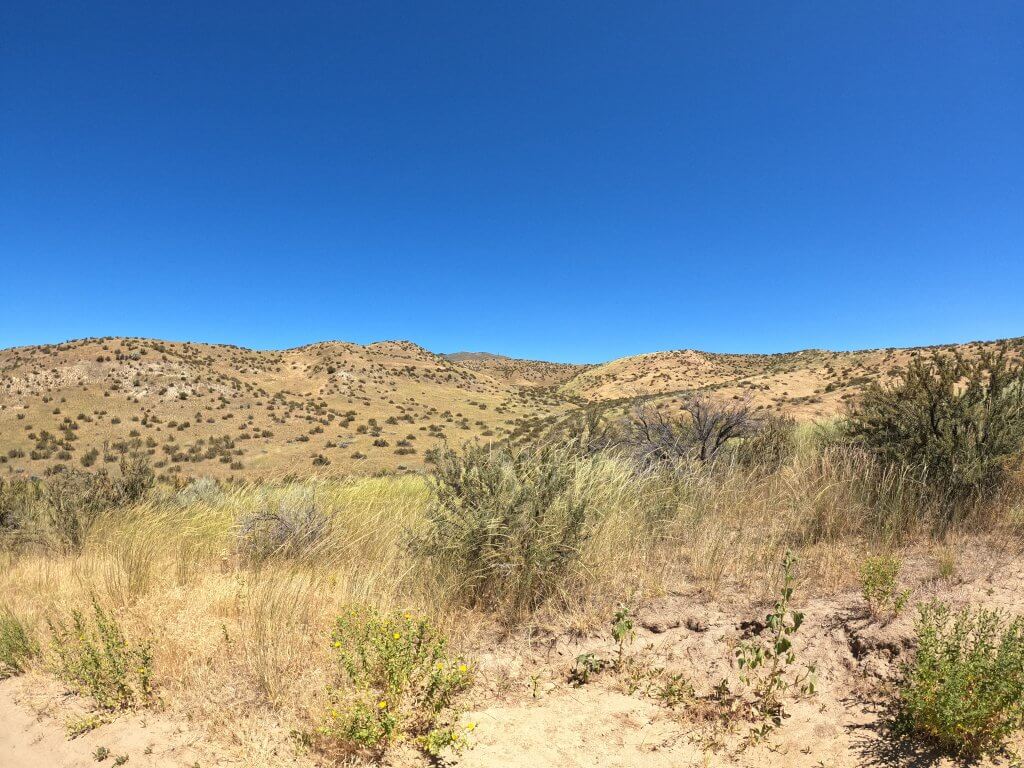 Beautiful view of the Boise foothills from the Red Cliff Nature Trail.