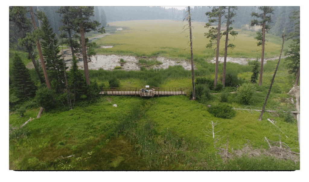 Aerial photo of marshy area, framed by a wooden walkway to the bottom of the frame.