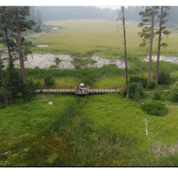 Aerial photo of marshy area, framed by a wooden walkway to the bottom of the frame.