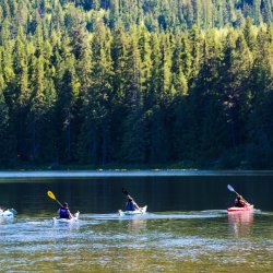 A group of people paddling kayaks on Round Lake, and a forest of tall trees in the background.