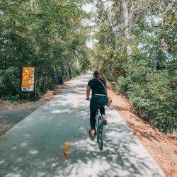 A woman riding a bike on a paved path with trees lining each side on the Boise River Greenbelt.