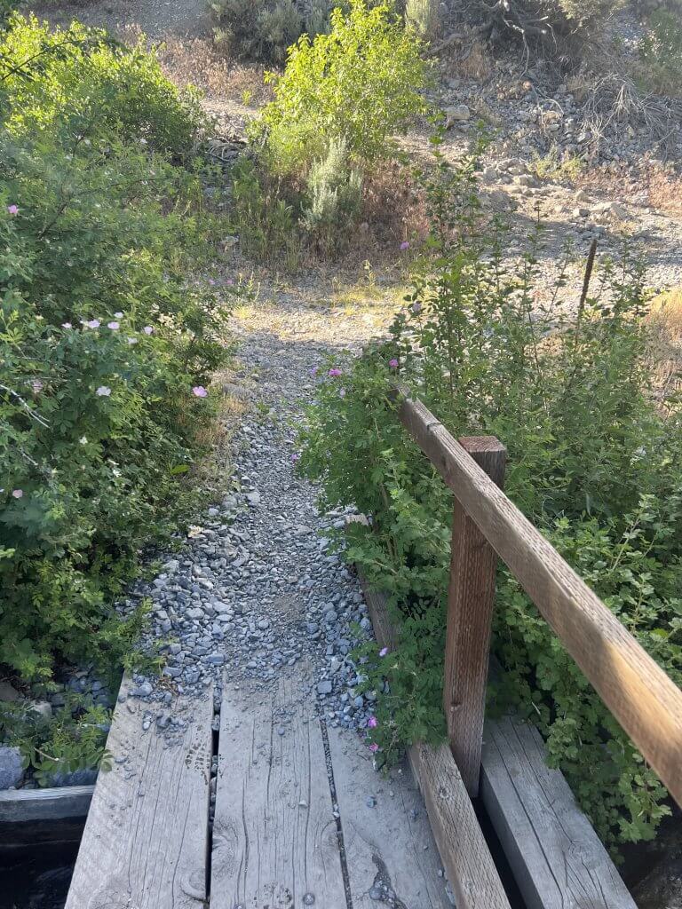 A wooden bridge over a small creek leads to a dirt trail that turns to the left and goes up a small hill.