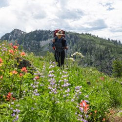 WOman hikes through wildflowers on mountain side.