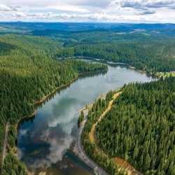 An aerial view of the water and expansive forest at Dworshak Reservoir.