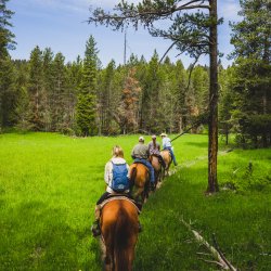 Four people on horseback riding in a single file line on a dirt trail surrounded by forest in Harriman State Park.