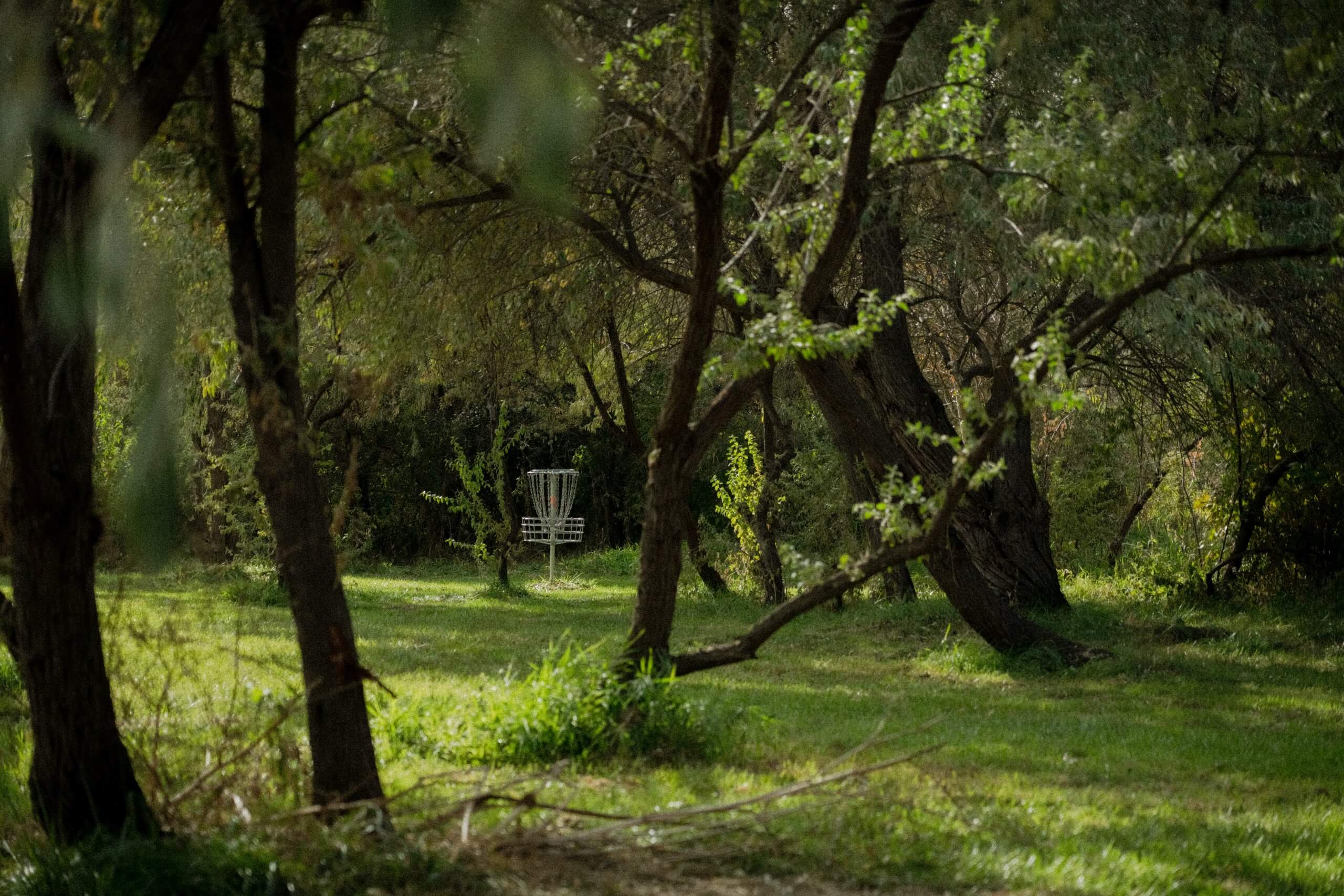 Disc golf at Eagle Island State Park.