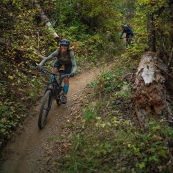 A person on a mountain bike rides a dirt trail that cuts through heavy foliage on Canfield Mountain.