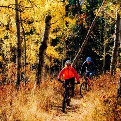 Two people riding mountain bikes down a trail in McCall lined with tall brush and trees with fall foliage.