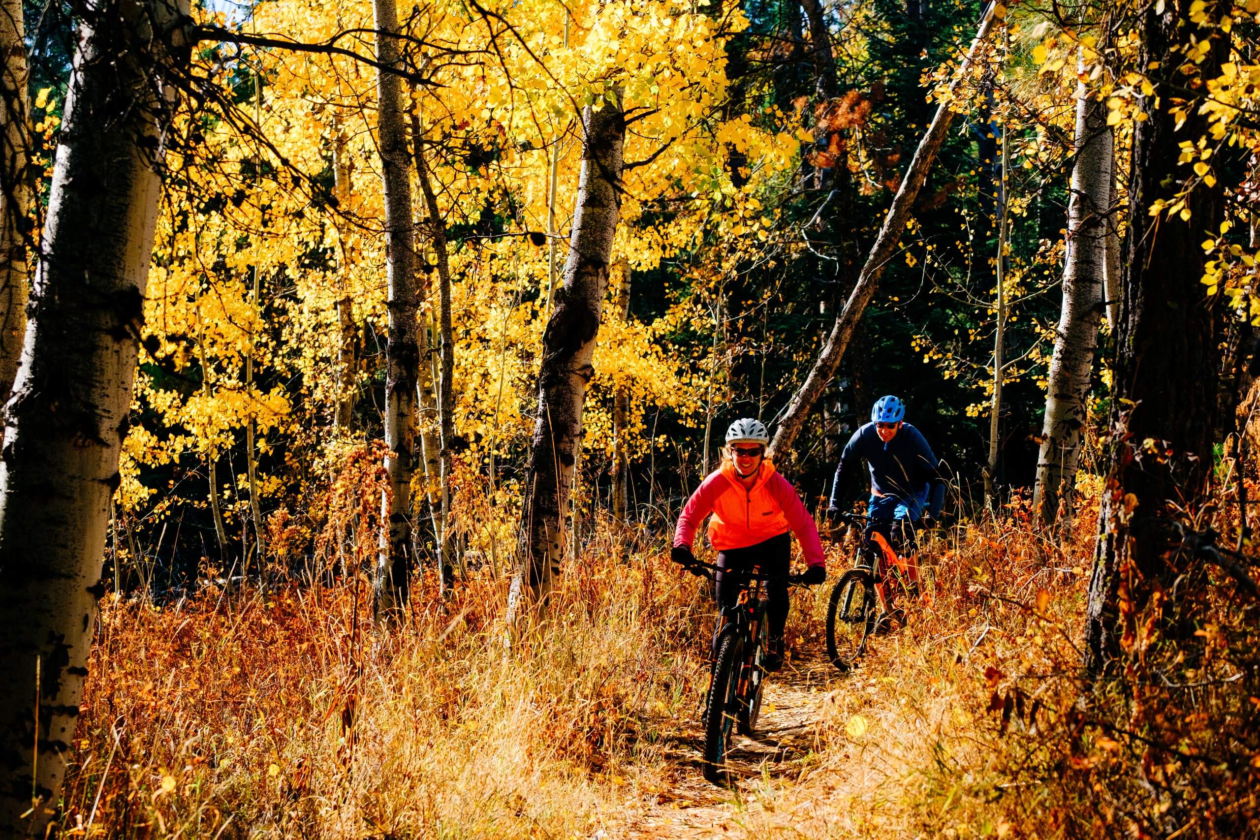 Two people riding mountain bikes down a trail in McCall lined with tall brush and trees with fall foliage.