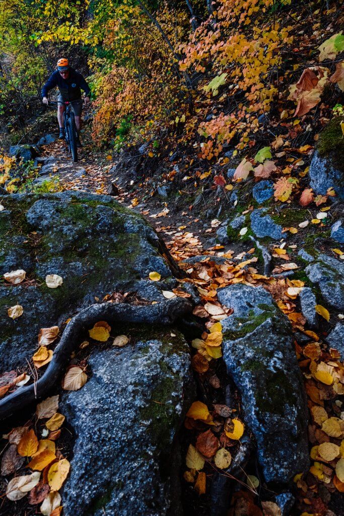 A mountain biker rides down a mountain trail dusted with orange and yellow fall leaves.