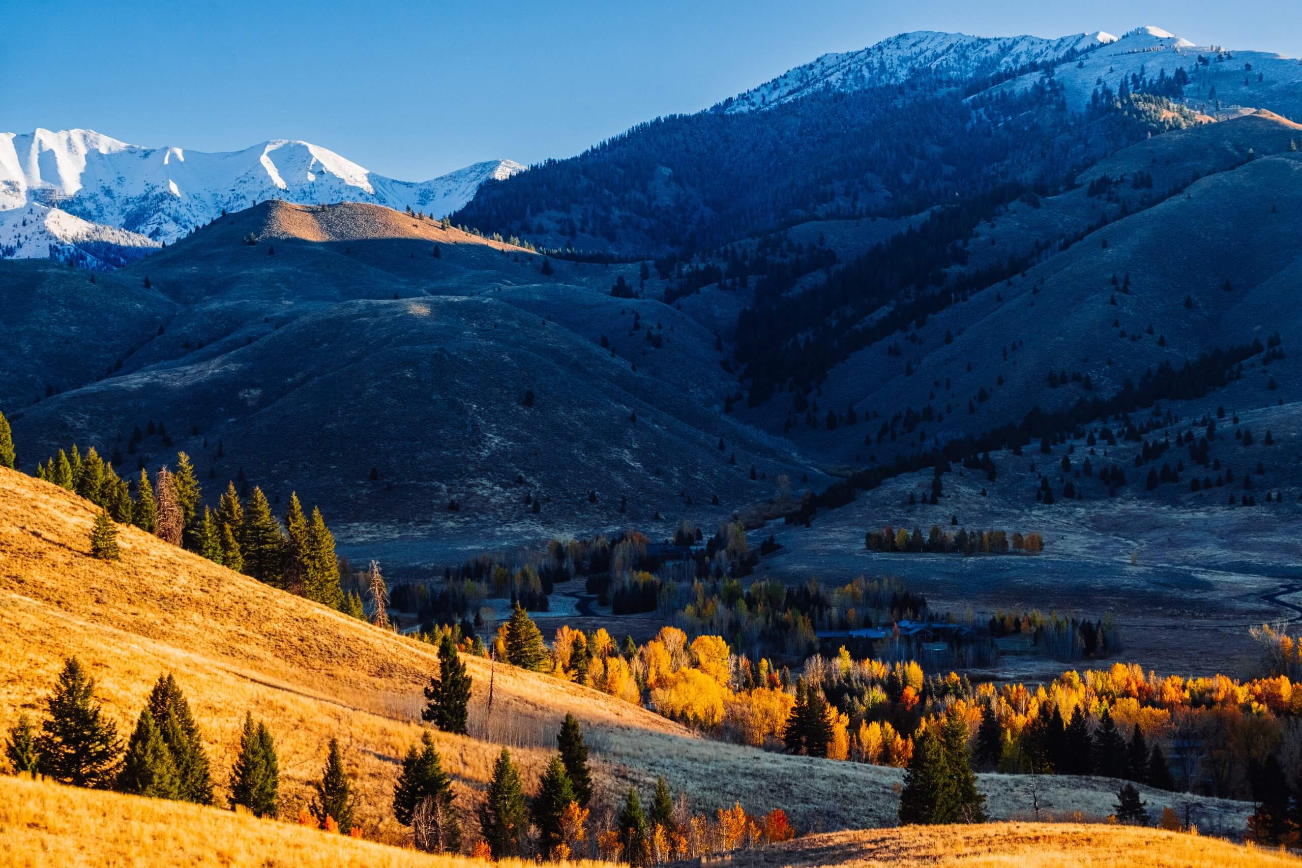 Wide scenic view of mountains with a grove of yellow aspens sitting in a valley.