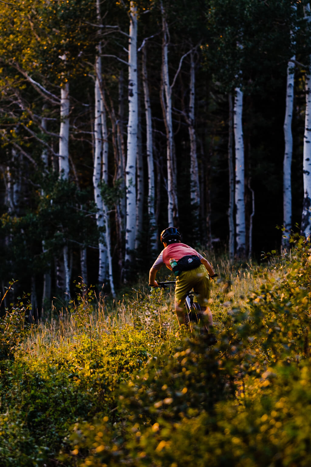 mountain biking in Teton Valley