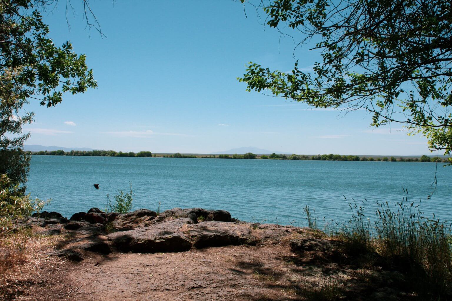 Escape to Idaho's Gem: Lake Walcott State Park's Lake View Campground