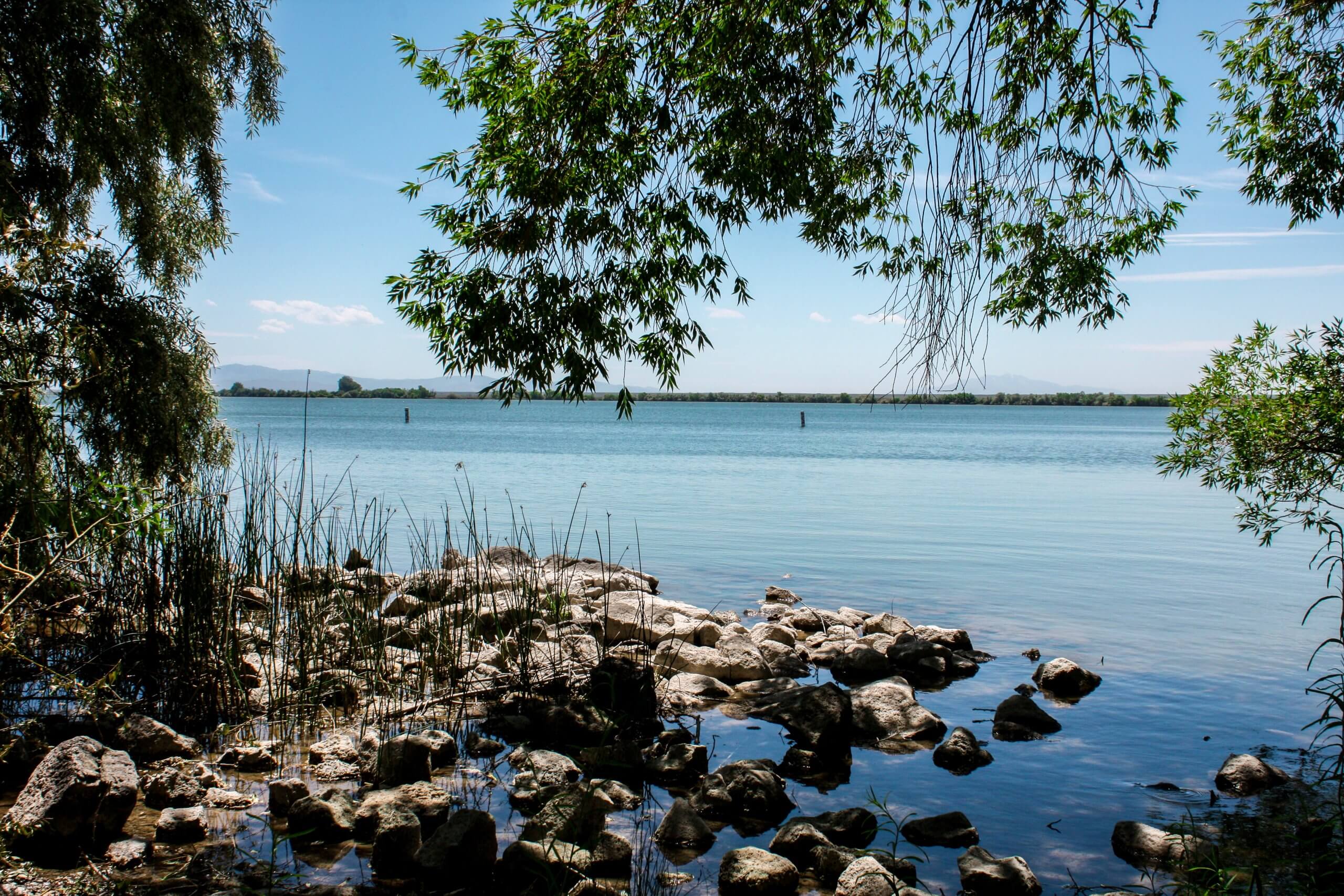 Shore of Lake Walcott at Lake Walcott State Park.