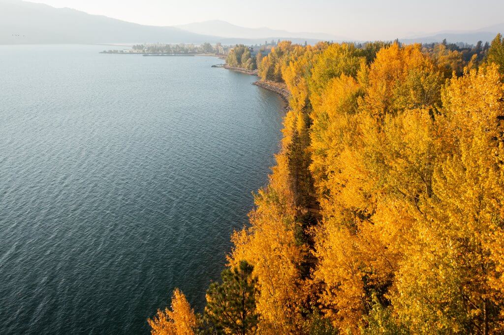 The fall leaves at Pend d'Oreille Bay Trail in Sandpoint Idaho.