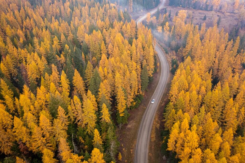 Car drives through fall foliage in Bonners Ferry. 