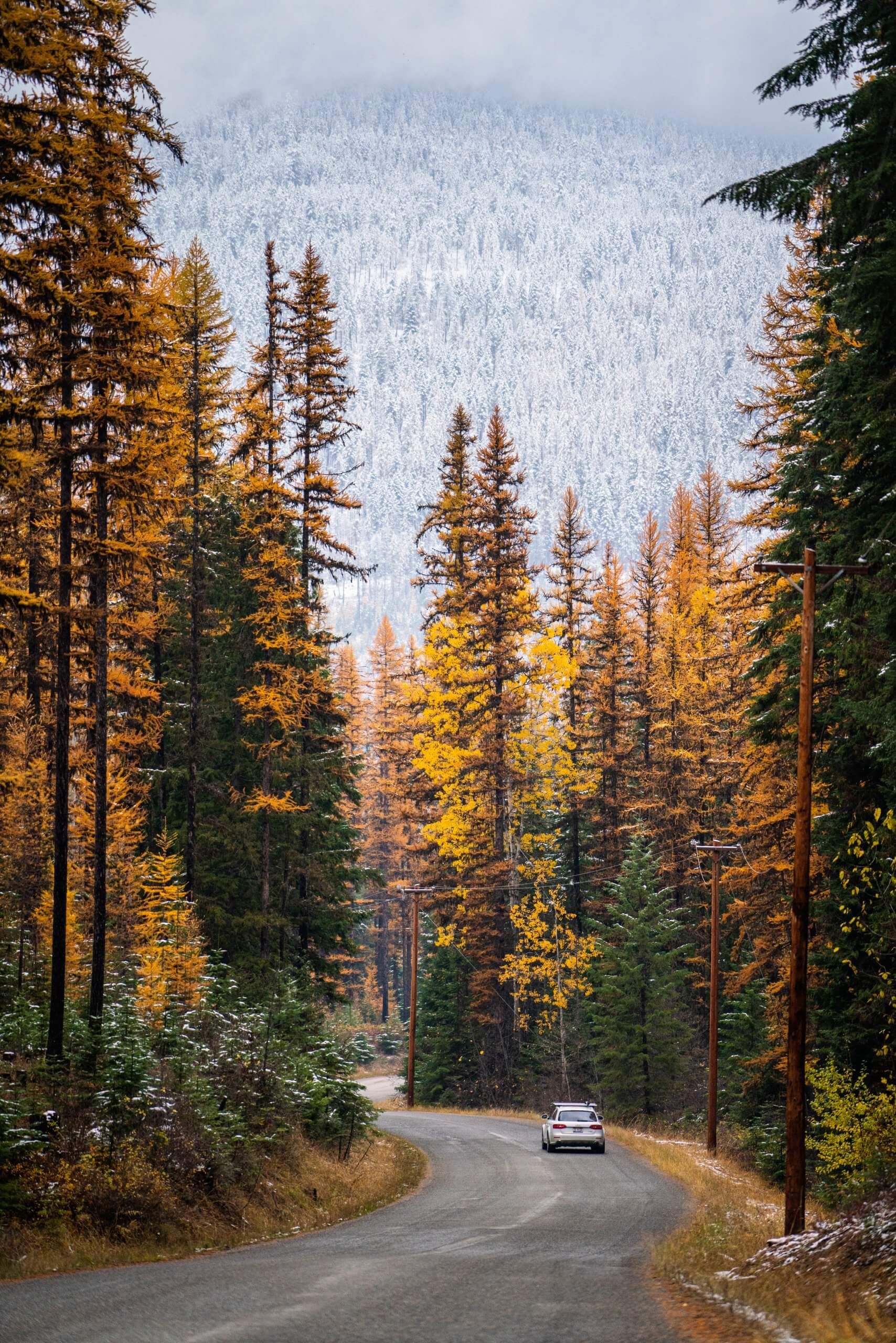 Car drives on fall day near Bonners Ferry.