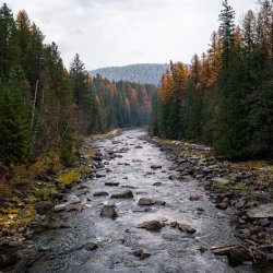 A view of the Kootenai River surrounded by fall colors across Bonners Ferry.