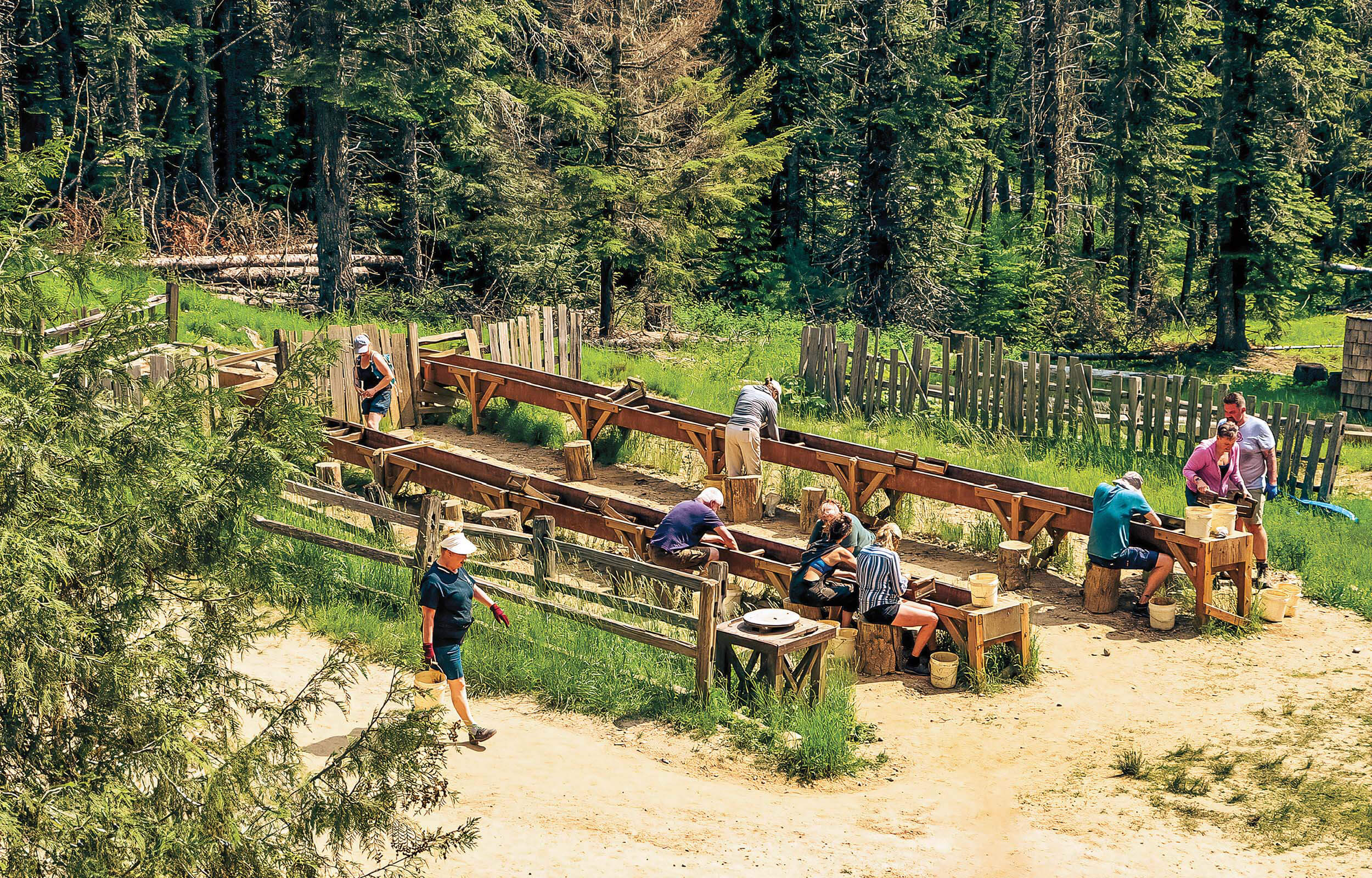 Several groups of people shifting dirt and sluicing for star garnet at Emerald Creek Garnet Area. 