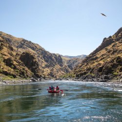 A group of people paddling a raft over rapids on the Payette River.