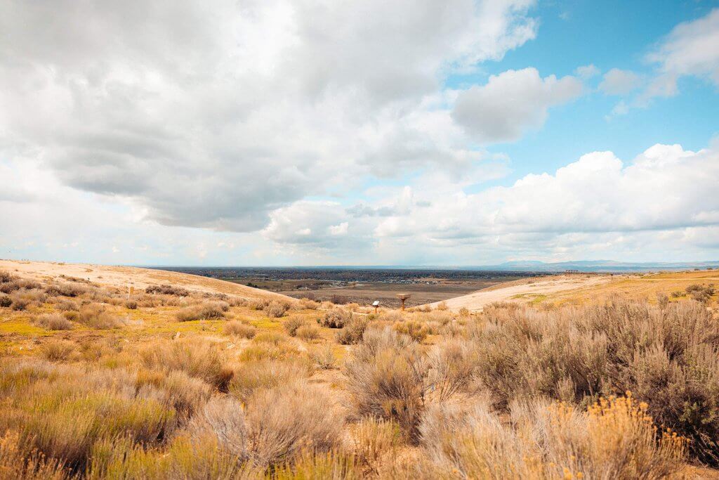 A scenic view of the landscape at the Peregrine Fund's World Center for Birds of Prey.