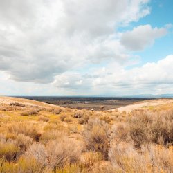 A scenic view of the landscape at the Peregrine Fund's World Center for Birds of Prey.