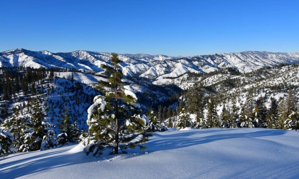 View of snow-dusted trees and mountain tops while snowshoeing.