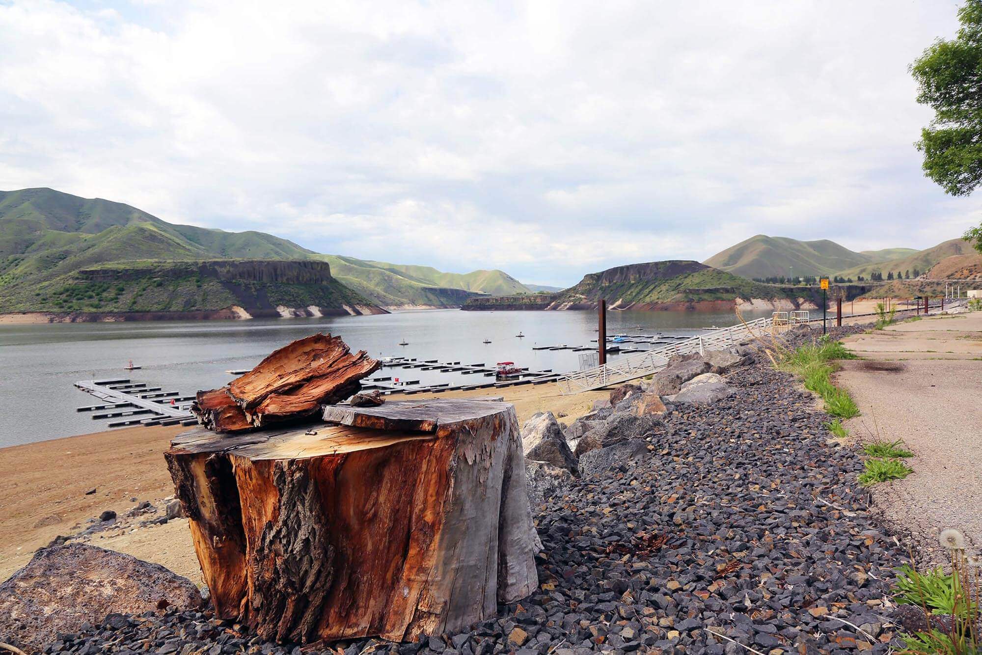 A closeup of a tree stump in a bed of rocks along a dirt path and a beach, docks, body of water and mountains in the background.