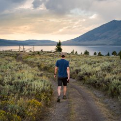 Man walks towards lake in Island Park.