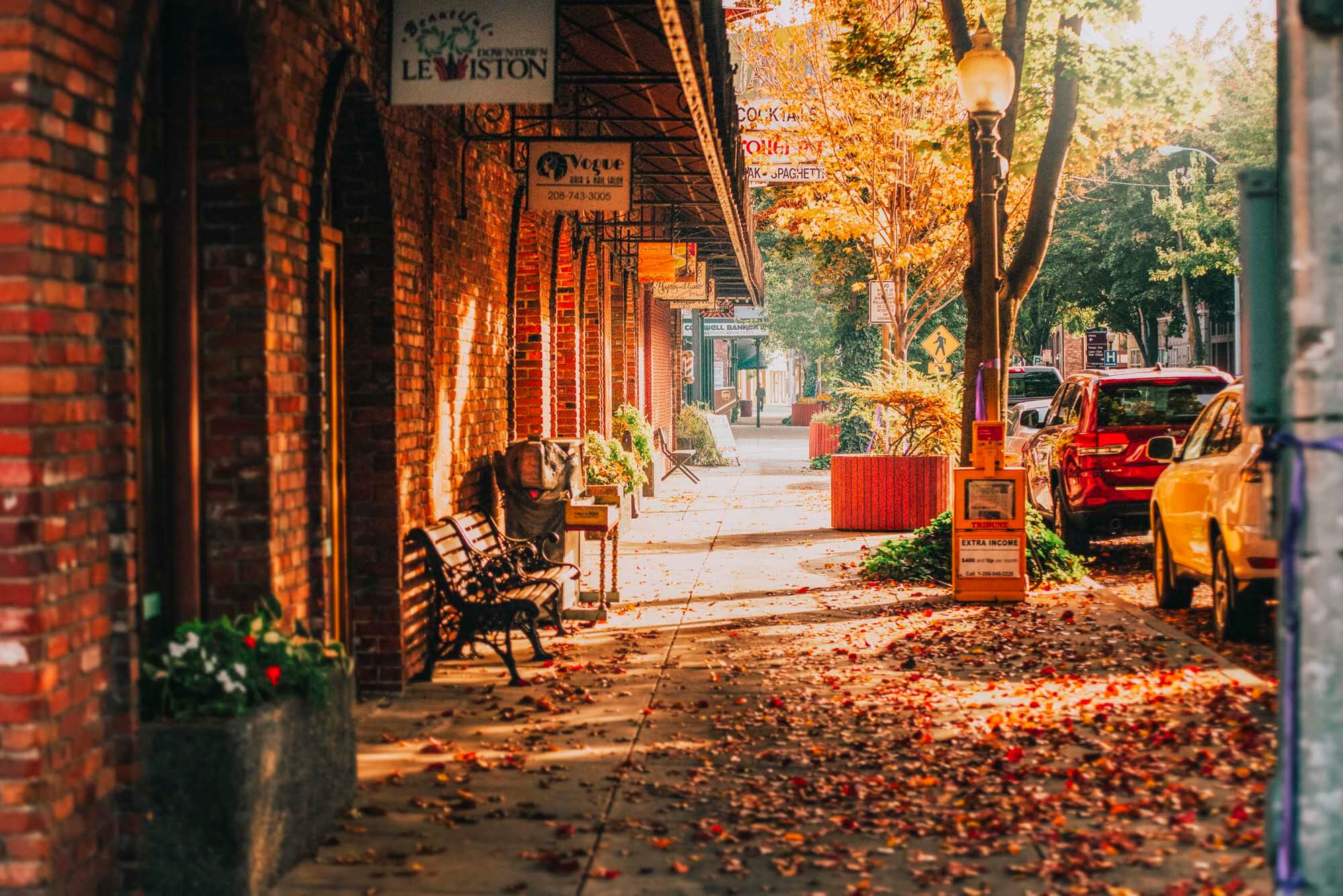 A downtown street in the fall lined with cars all covered in leaves.