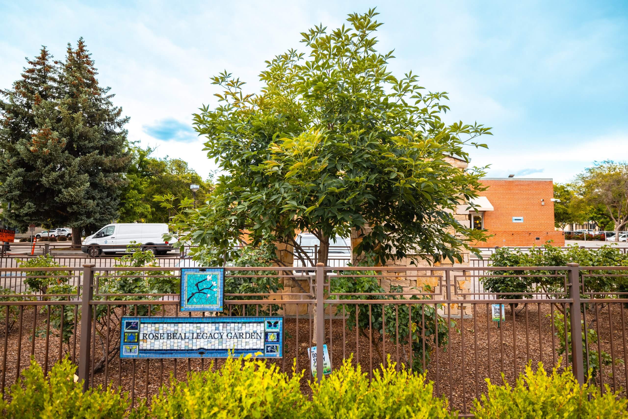 A small chestnut tree in a fenced garden at the Anne Frank Human Rights Memorial.