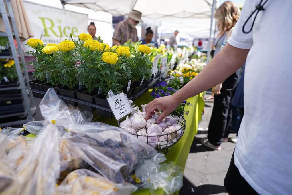 A man looking through produce and several people in the background browsing through flowers at the Boise Farmers Market.