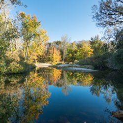 A calm pond surrounded by green, leafy trees at Eagle Island State Park.